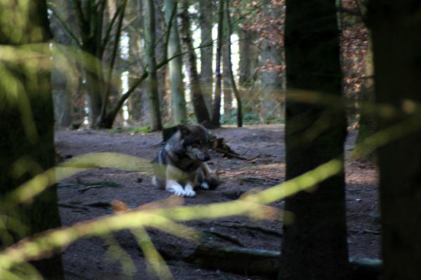 NUP Natur- und Umweltpark Gstrow